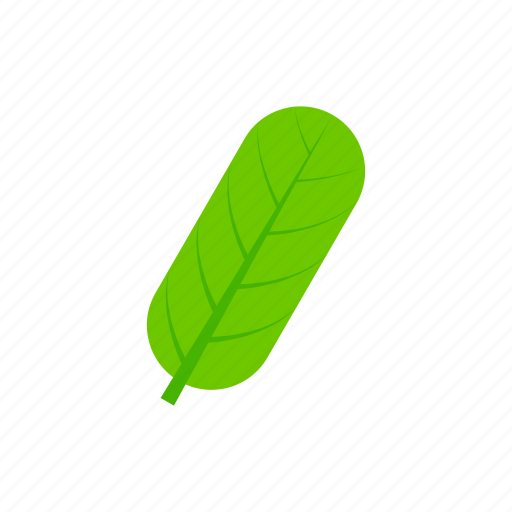 Green, leaf, oblong, summer icon - Download on Iconfinder
