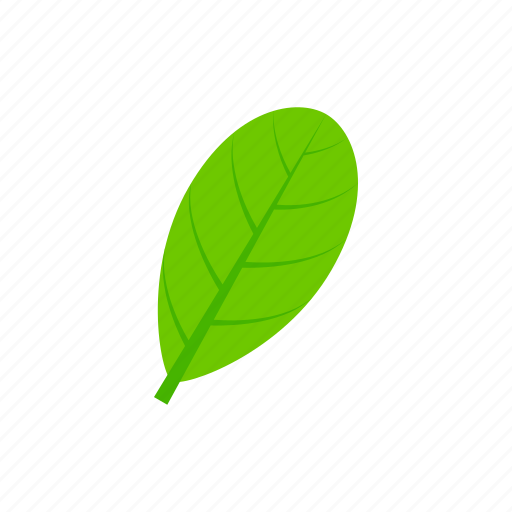 Green, leaf, obovate, summer icon - Download on Iconfinder