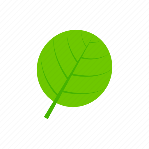 Green, leaf, orbicular, summer icon - Download on Iconfinder