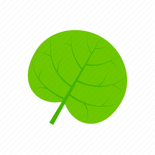 Green, leaf, reniform, summer icon - Download on Iconfinder