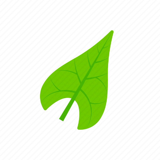 Green, leaf, sagittate, summer icon - Download on Iconfinder