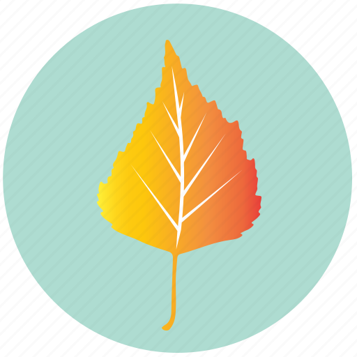 Leaf, yellow, autumn, birch, forest, nature, tree icon - Download on Iconfinder