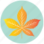 leaf, yellow, chestnut, ecology, nature, plant, garden 