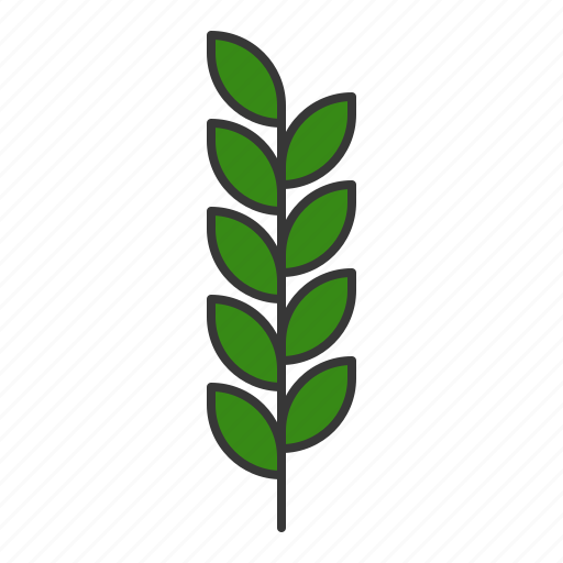 Green, leaf, leaves, nature, plant, tree icon - Download on Iconfinder