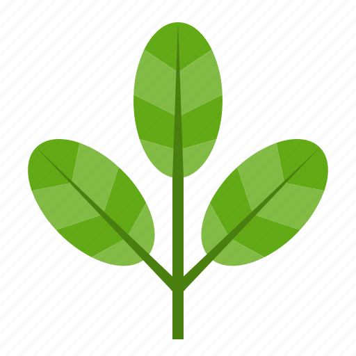 Forest, green, leaves, nature, plant, tree icon - Download on Iconfinder