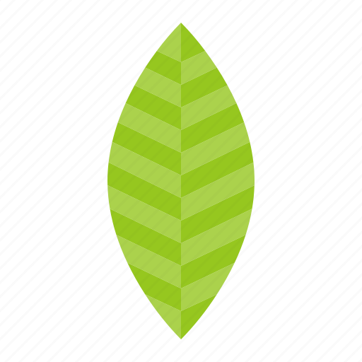 Green, leaf, leaves, nature, plant, tree icon - Download on Iconfinder