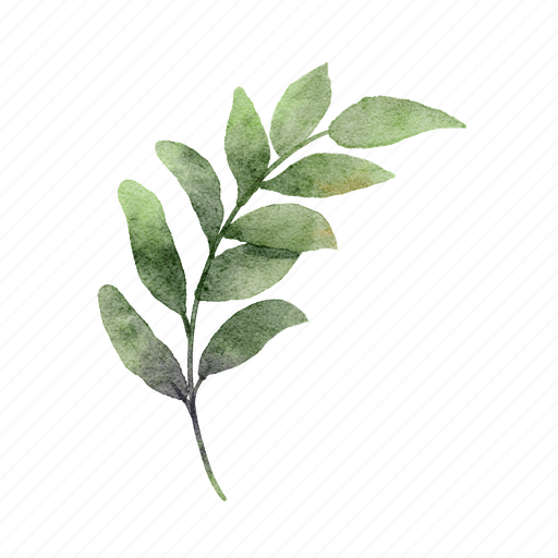 Leaf, botanical, watercolor, greenery, foliage, leaves, branches icon - Download on Iconfinder