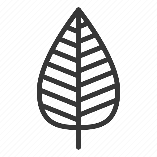 Leaf, leaves, nature, plant, tree icon - Download on Iconfinder