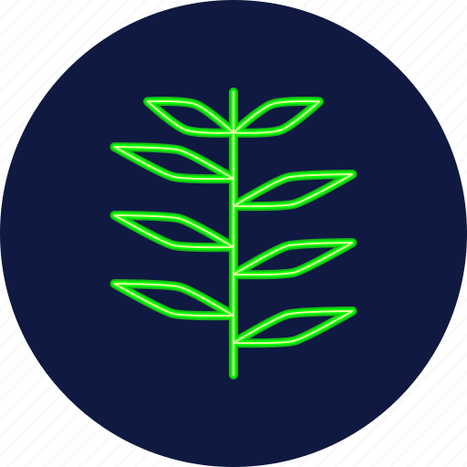 Juniper, leaf, leaves, eco, ecology, autumn, foliage icon - Download on Iconfinder
