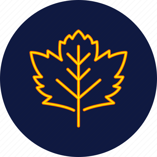 Sycamore, leaf, leaves, eco, ecology, autumn, foliage icon - Download on Iconfinder