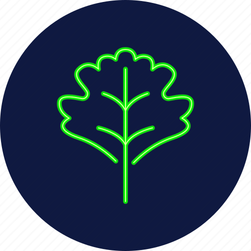 Hawthorn, leaf, leaves, eco, ecology, autumn, foliage icon - Download on Iconfinder