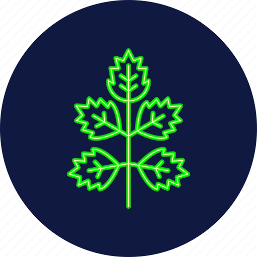 Elder, leaf, leaves, eco, ecology, autumn, foliage icon - Download on Iconfinder