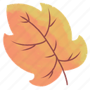 ashleaf, maple, leaf, plant, leaf icon, illustration, decoration, nature, autumn