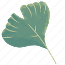 ginkgo, leaf, green, plant, leaf icon, illustration, decoration, nature, flower
