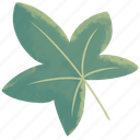 liquidambar, leaf, plant, leaf icon, illustration, decoration, nature, green