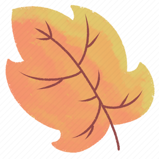 Ashleaf, maple, leaf, plant, leaf icon, illustration, decoration icon - Download on Iconfinder
