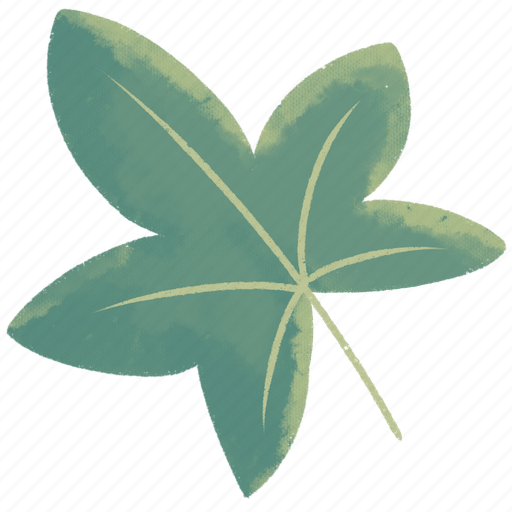 Liquidambar, leaf, plant, leaf icon, illustration, decoration, nature icon - Download on Iconfinder
