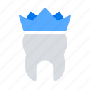 crown, service, tooth, dental care