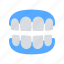 dentistry, gums, teeth 
