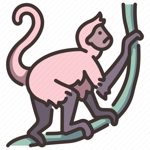 Animal, jungle, monkey, spider, wildlife, zoo icon - Download on Iconfinder