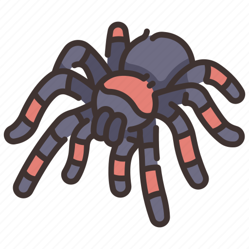 Dangerous, insect, poison, spider, tarantula, wildlife icon - Download on Iconfinder