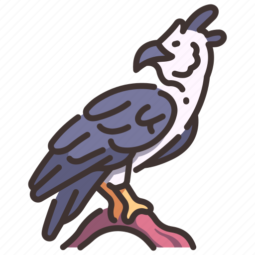 Animal, bird, eagle, harpy, wild, wildlife icon - Download on Iconfinder