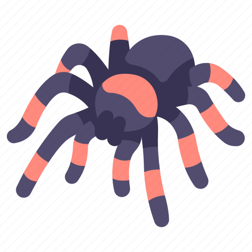 Dangerous, insect, poison, spider, tarantula, wildlife, amazon river icon - Download on Iconfinder