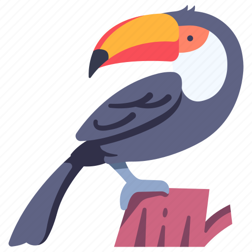 Animal, bird, jungle, nature, toucan, wildlife, zoo icon - Download on Iconfinder