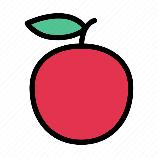 Food, fruit, healthy, orange, organic icon - Download on Iconfinder