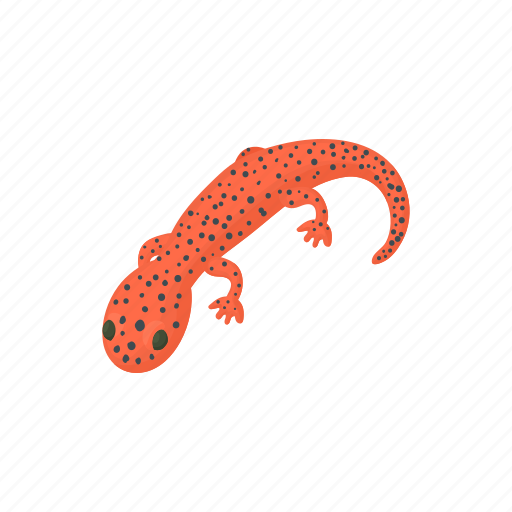 Cartoon, design, gecko, lizard, reptile, salamander, tattoo icon - Download on Iconfinder