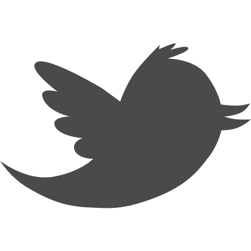 Twitter, bird, media, social, tweet icon - Free download