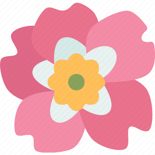 Rose, nootka, flower, flora, botanical icon - Download on Iconfinder