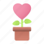 love, heart, pot, plant 