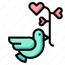 bird, heart, love, peace, wedding, romance, pigeon