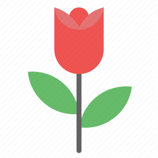 Date, flower, gift, love, rose, thoughtful, valentines icon - Download on Iconfinder