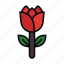 roses, red roses, rose flower, flower, rose, nature, botanical, valentine, love and romance 