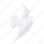 white, pigeon01 
