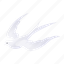 white, pigeon02 
