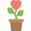 heart plant, heart shaped flower, love inspirations, love theme, spreading love 