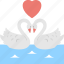 ducks in love, happy ducks, i love ducks, romantic ducks, swans love 