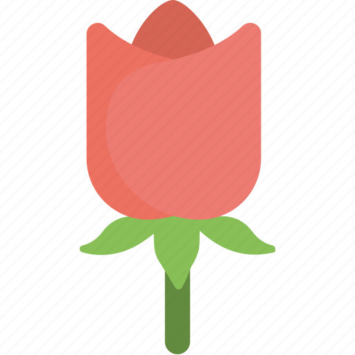 Blossom, red rose, rose, rose bud, rose flower icon - Download on Iconfinder