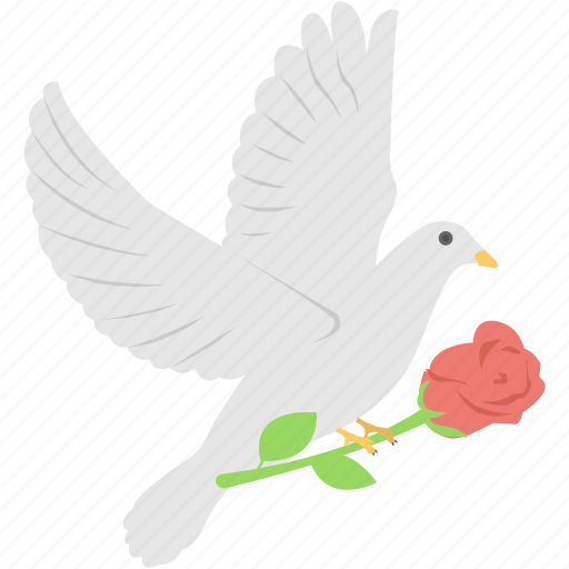 Bird of peace, dove and rose, flying pigeon with red rose, love concepts, pigeon with red rose icon - Download on Iconfinder