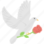 bird of peace, dove and rose, flying pigeon with red rose, love concepts, pigeon with red rose 
