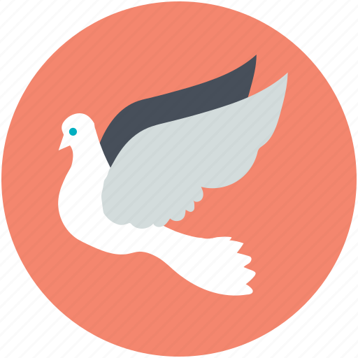 Bird, dove, flying bird, love bird, peace sign icon - Download on Iconfinder