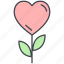 heart flower, love, love flower, lovely, valentine, valentine&#x27;s day 