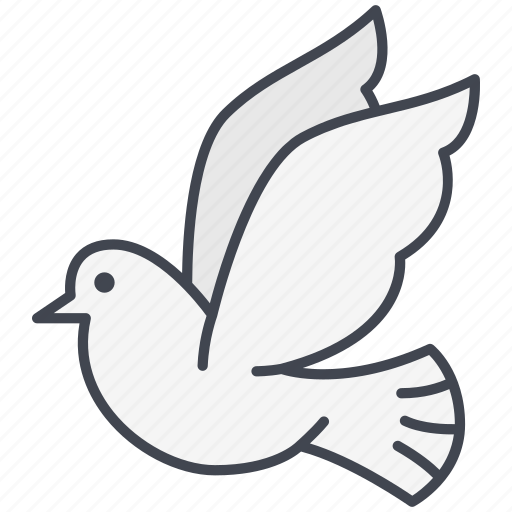 Dove, love, love dove, lovely, pigeon, valentine, valentine's day icon - Download on Iconfinder
