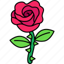 rose, love, valentine, wedding, romantic, cute, kawaii