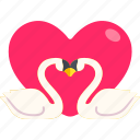 swan, two, heart, love, valentine, wedding, romantic, cute