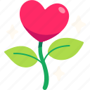 flower, plant, heart, love, valentine, wedding, romantic, cute