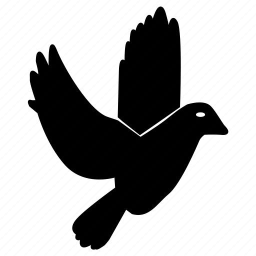 Bird, dove, fly, freedom, nature, peace, pigeon icon - Download on Iconfinder